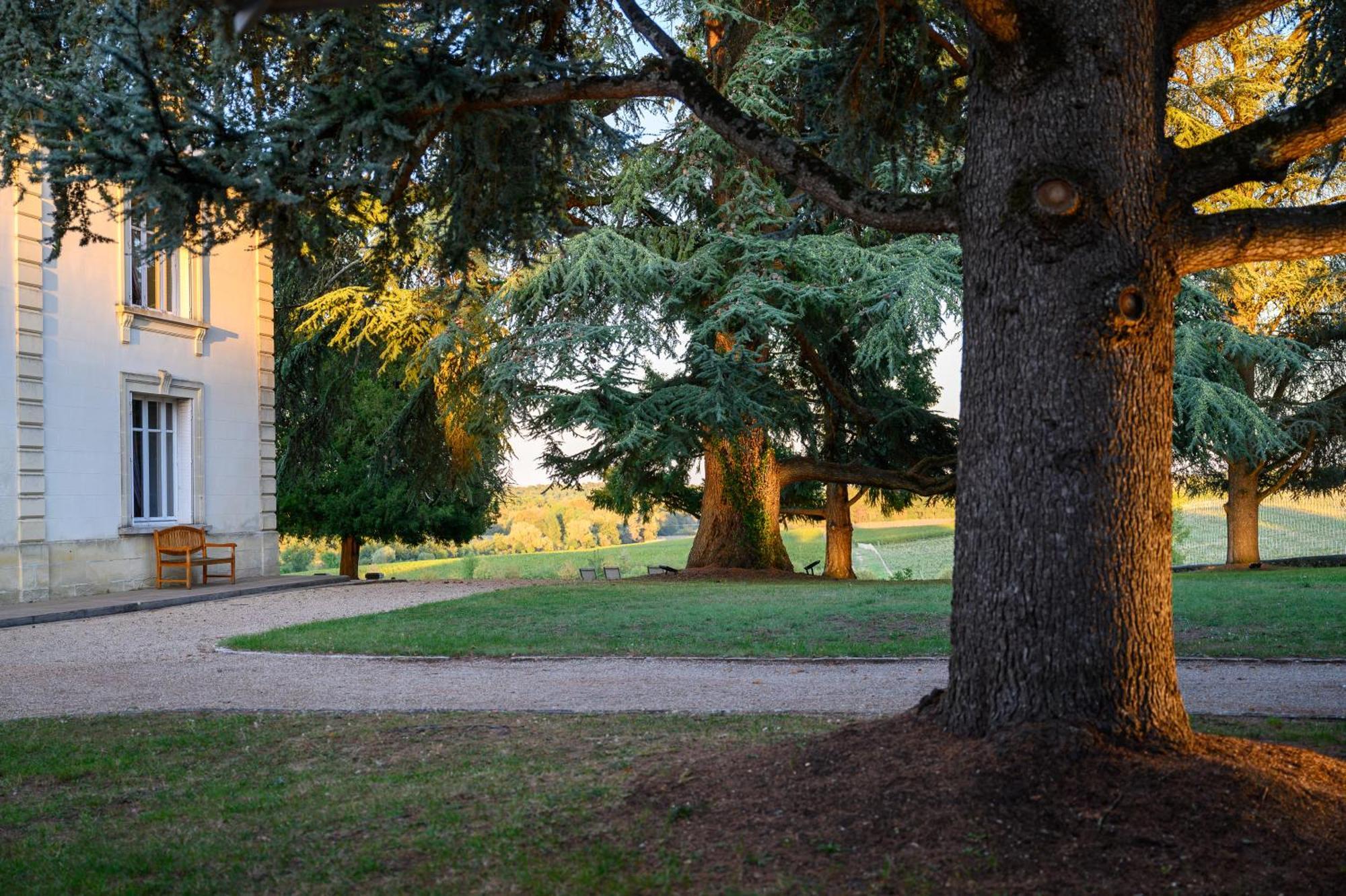 Les Secrets Château Pey La Tour Salleboeuf Extérieur photo