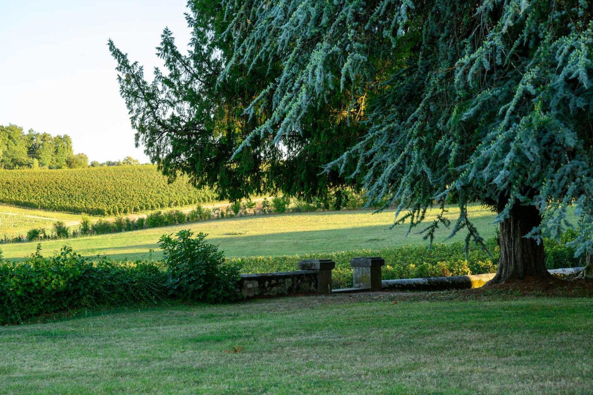 Les Secrets Château Pey La Tour Salleboeuf Extérieur photo
