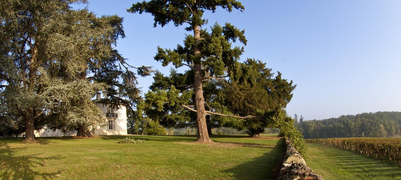 Les Secrets Château Pey La Tour Salleboeuf Extérieur photo